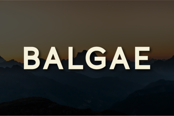 Balgae: A Modern Sans Serif Typeface for Clean Editorial Design