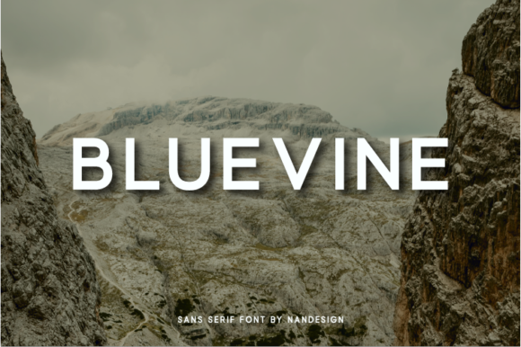 Bluevine Typeface Review: A Modern Sans Serif for Campaign Design