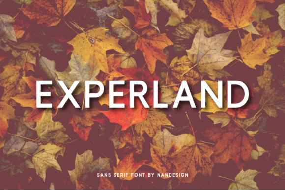 Experland Typeface: Elevate Your Brand Identity