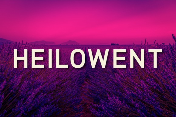 Heilowent: A Clean Sans Serif Font for Handmade Brands