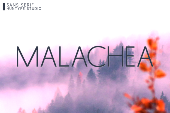 Malachea: A Clean Sans Serif Font for Clear Campaign Design