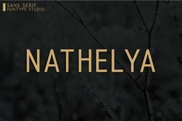 Nathelya: The Clean Sans Serif Font for Scroll-Stopping Brand Content