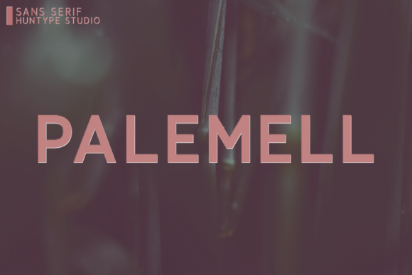 Palemell: The Modern Sans Serif Typeface for Scroll-Stopping Campaigns