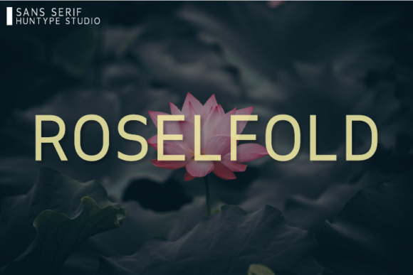 Roselfold: The Minimal Sans Serif Font for Polished Brand Identity