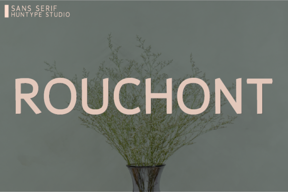 Rouchont: The Minimal Sans Serif for Clearer Campaign Messaging
