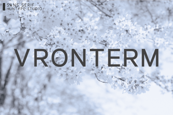 Vronterm: The Clean Sans Serif Typeface for Modern Brand Identity